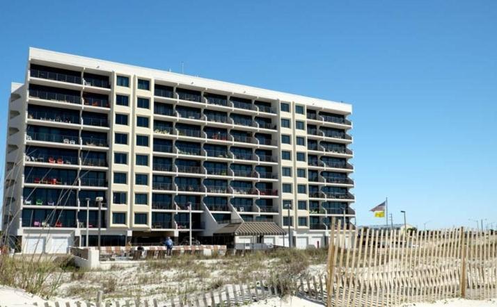 Island Winds East 308 By Albvr - Beautifully Renovated Beachfront Condo & Steps Away From Hangout & More! غولف شورز المظهر الخارجي الصورة